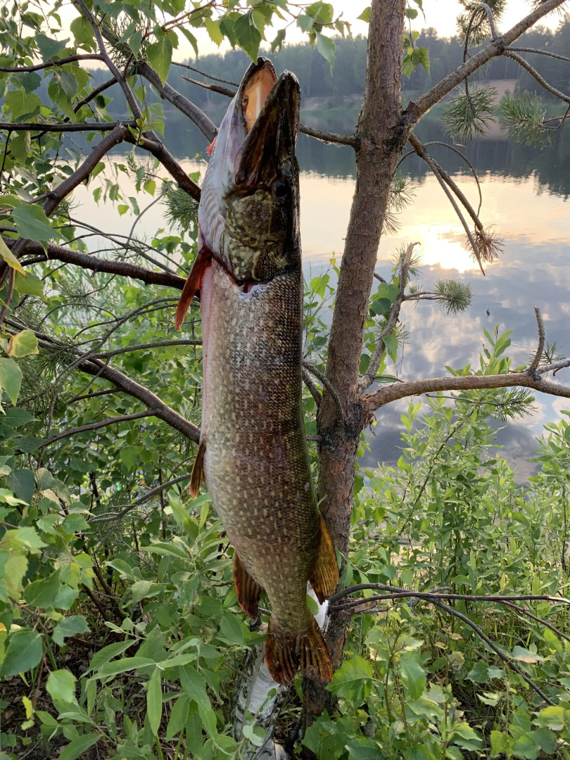 Частный дом На озере