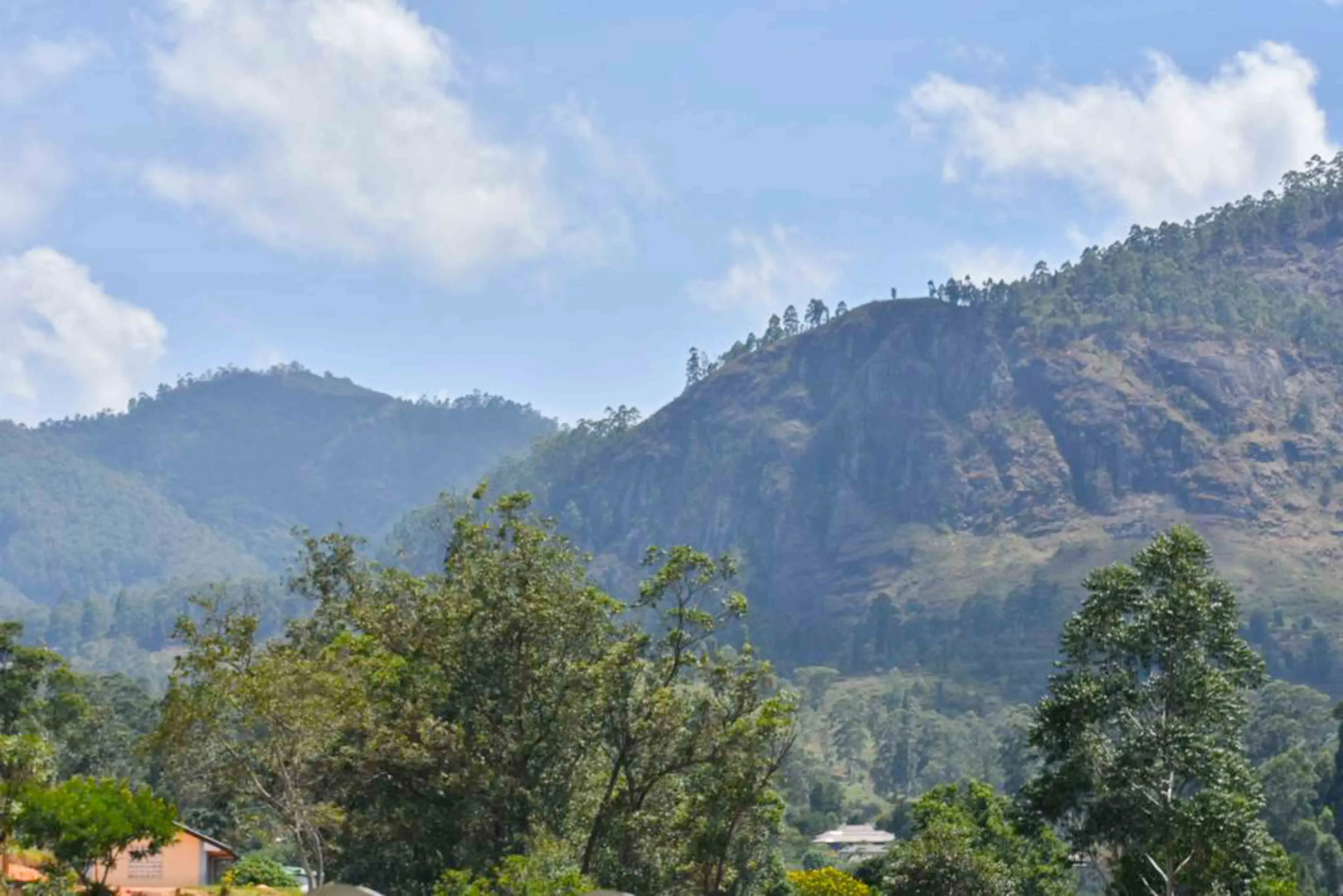 Отель Yoho Thushara