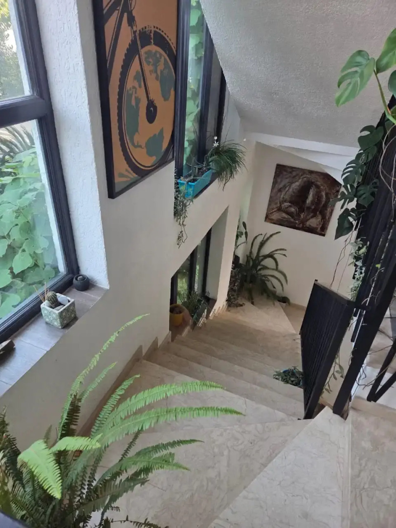 Отель TJ GARDENS