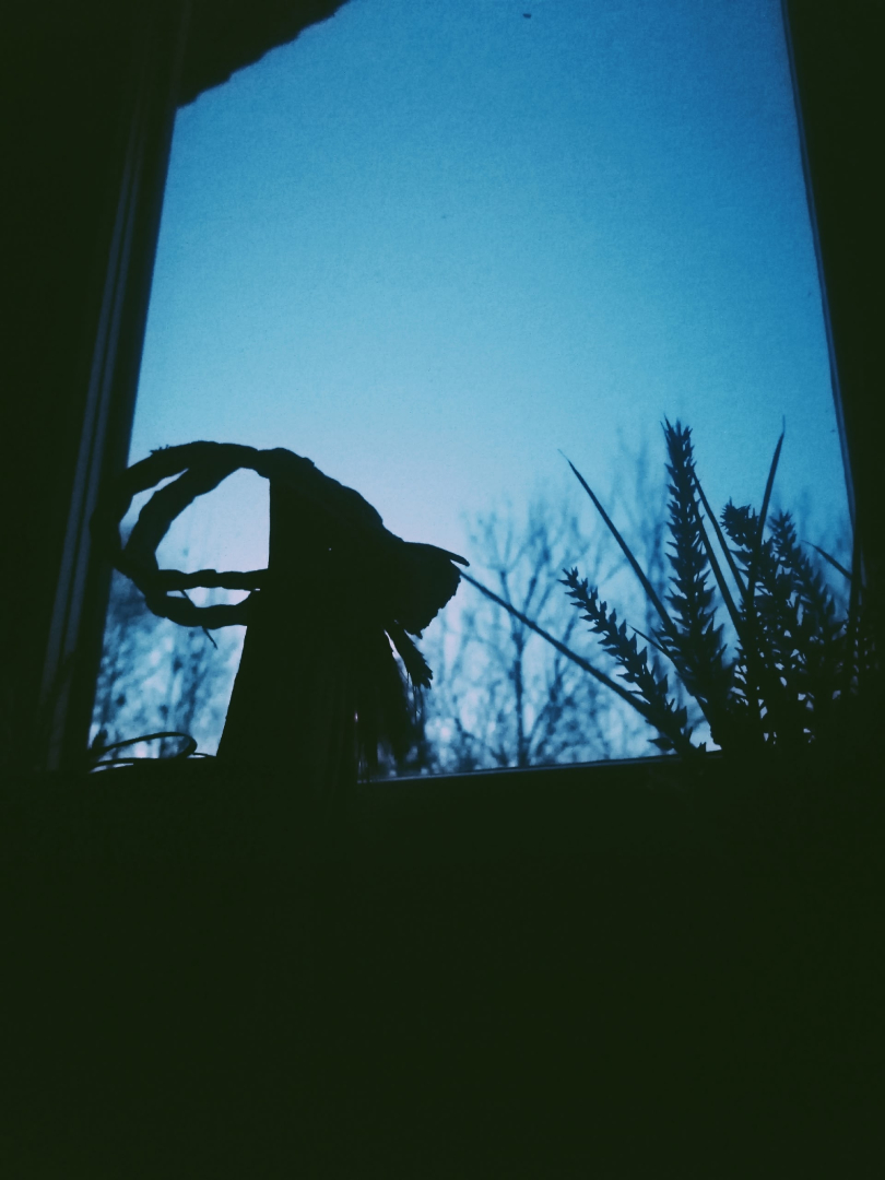 Частный дом Избушка луна