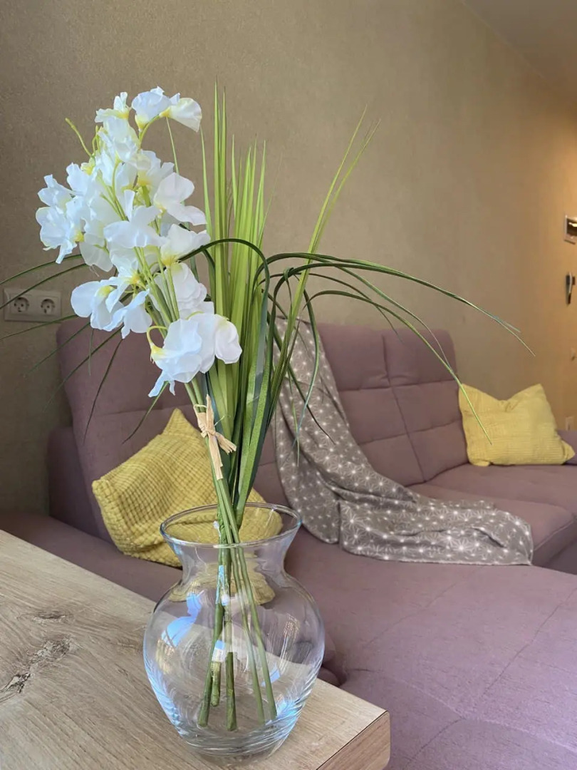 Апартаменты Оливия возле Озера