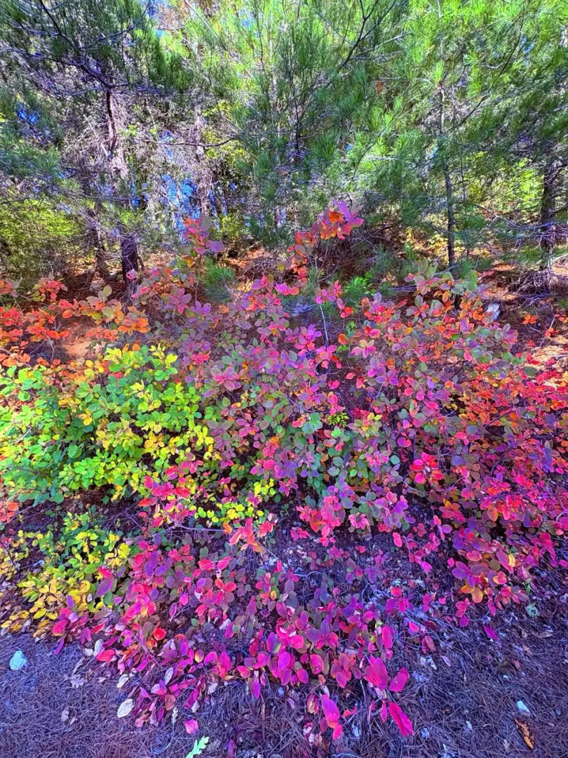 Коттедж Под звездами Комфорт