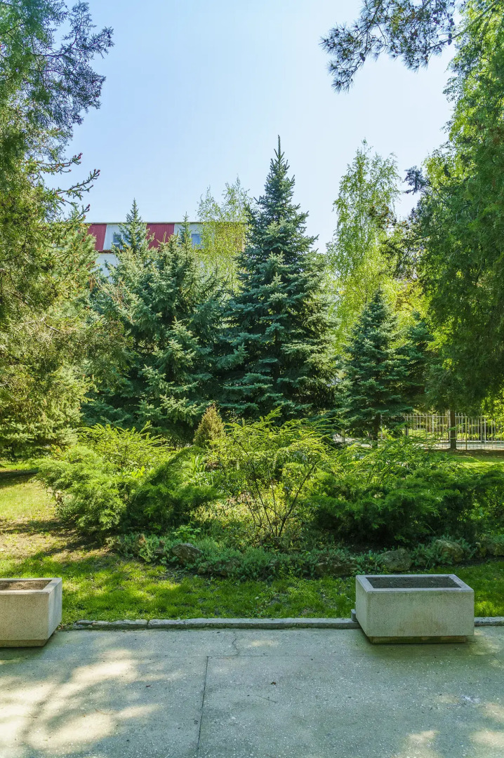 Санаторий Родник