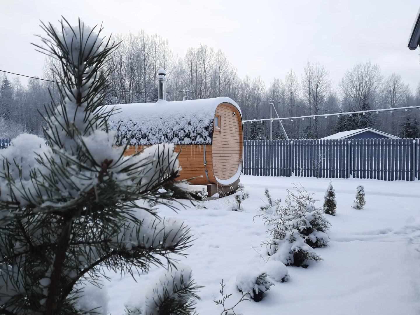 Частный дом у леса