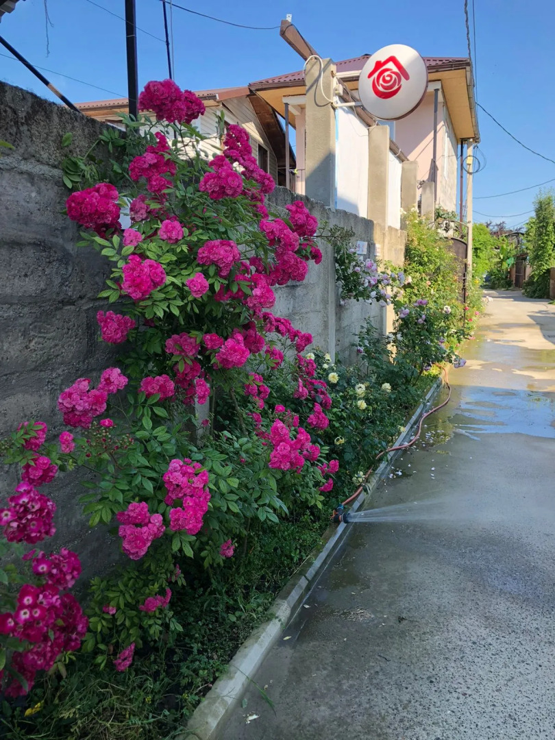 Гостевой дом Роза