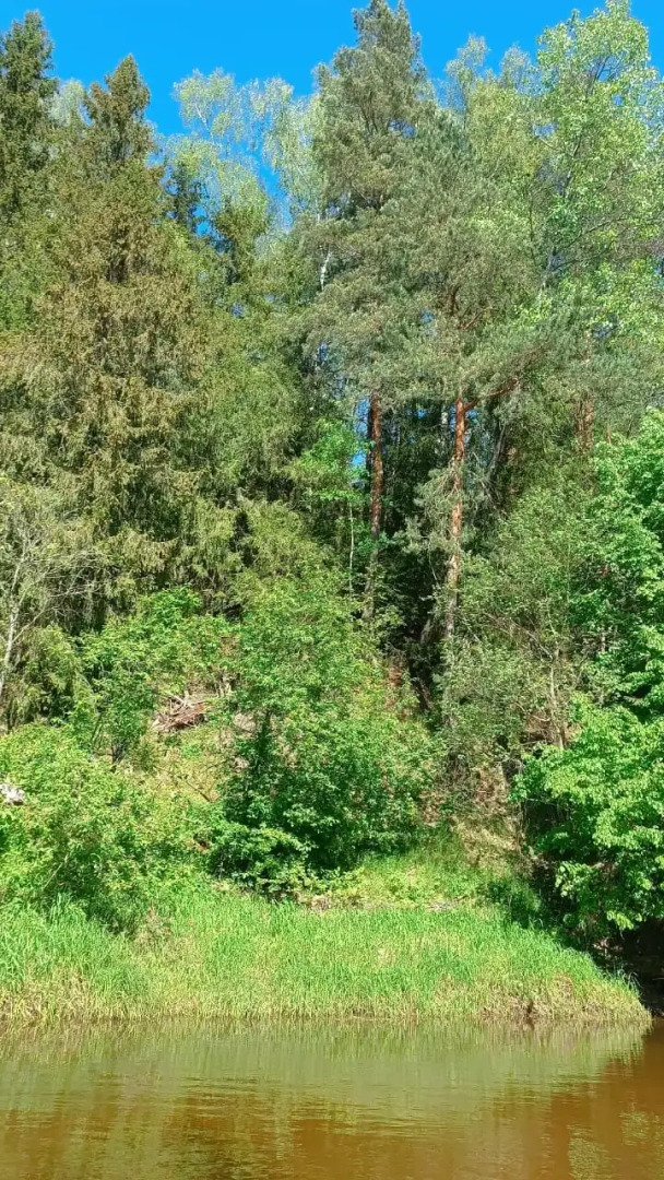 Частный Лесной дом Речная Заимка