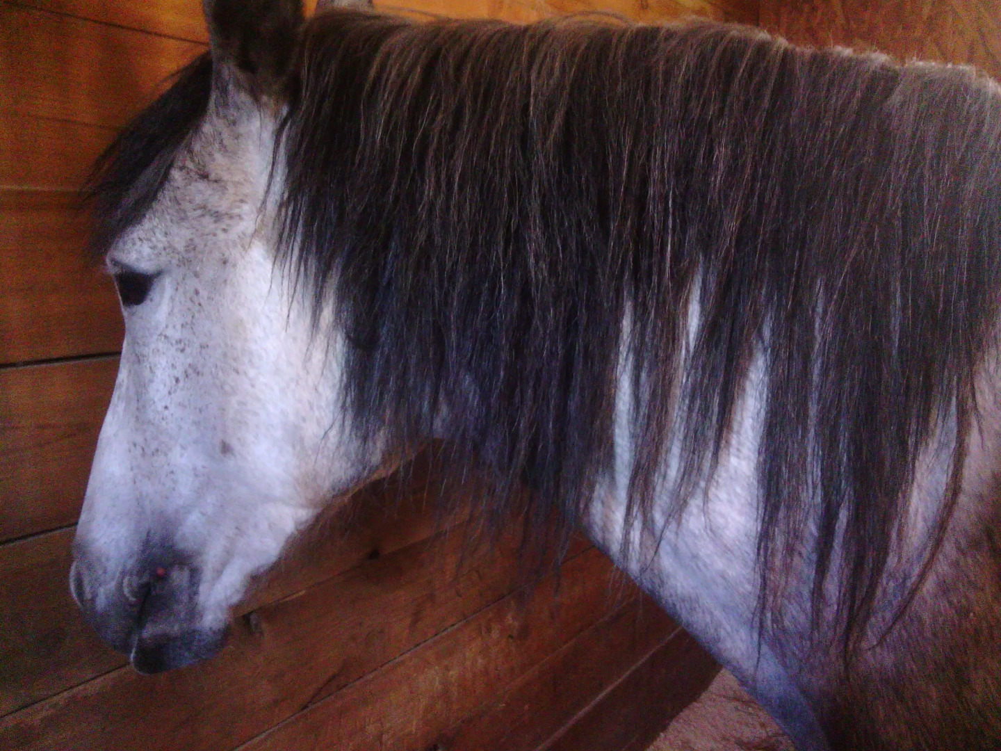 Гостевой Дом House A-108