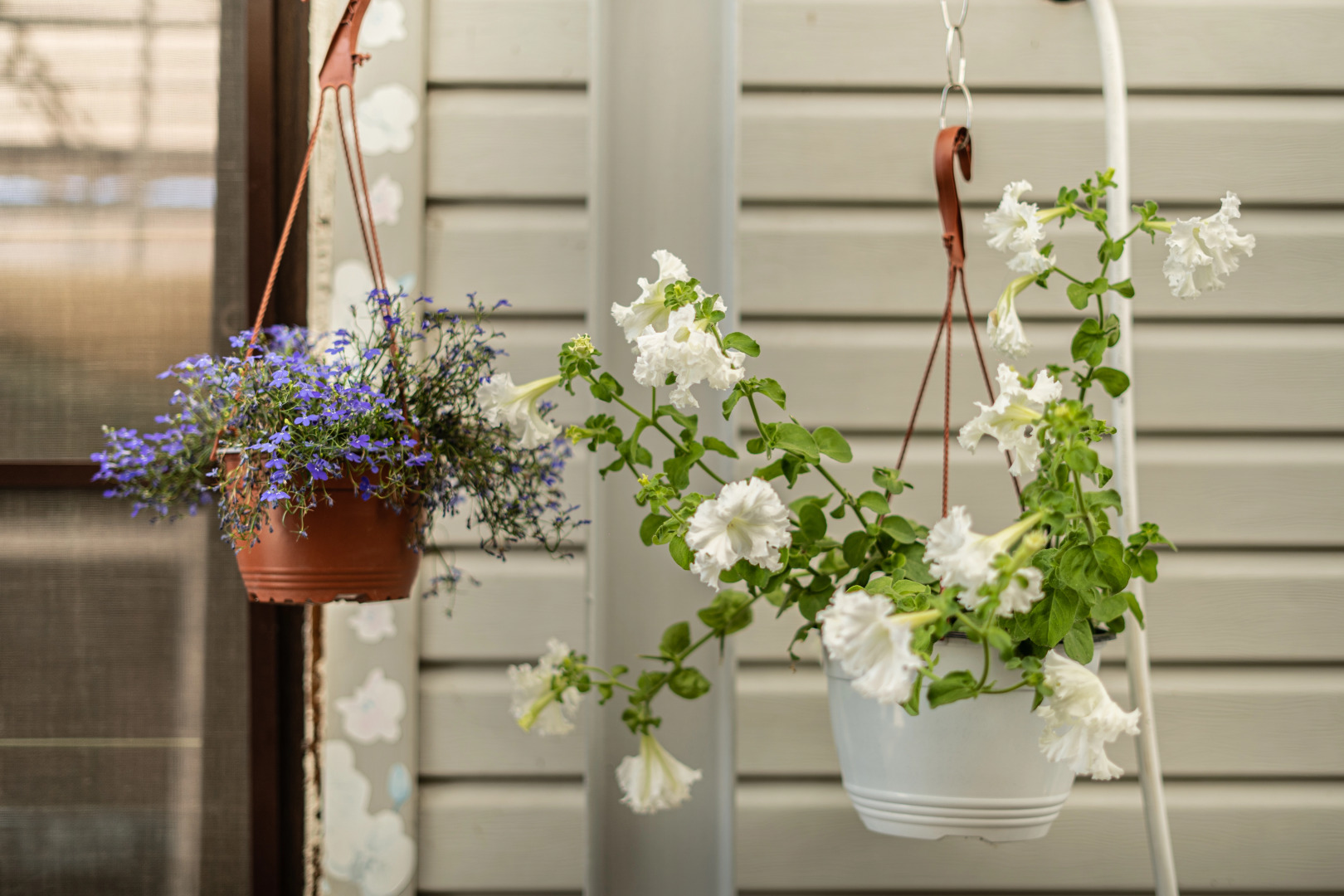 Гостевой дом Изумруд