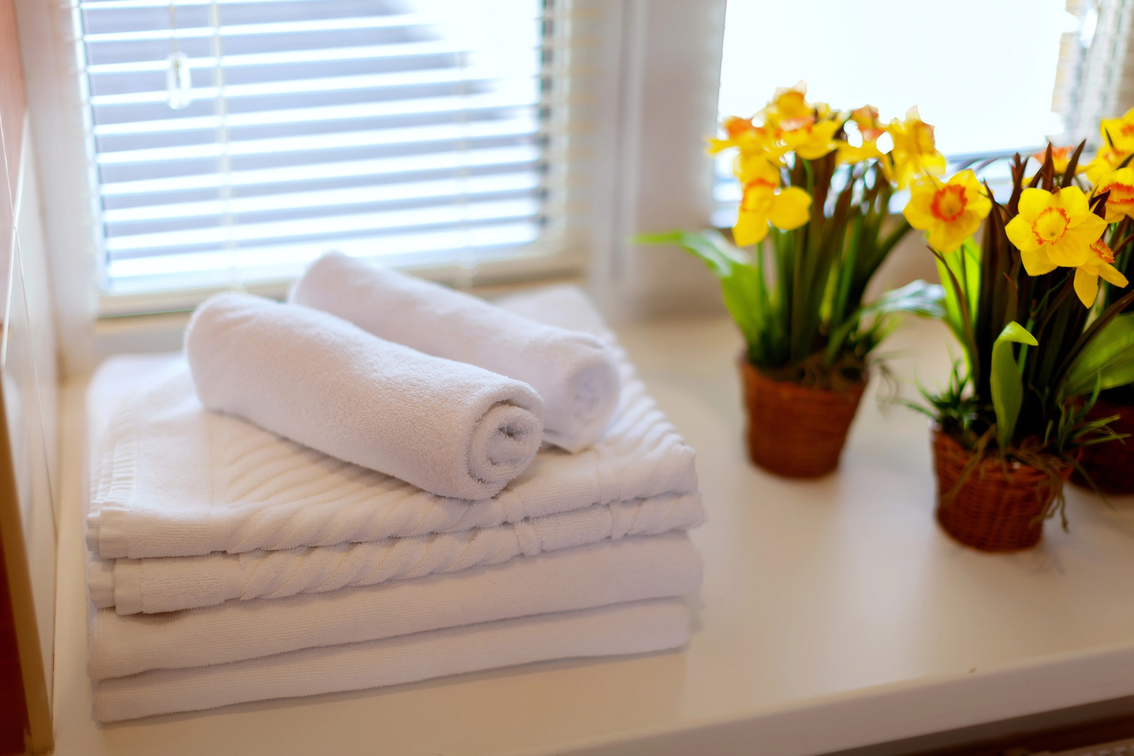 Отель Вишнёвый Сад