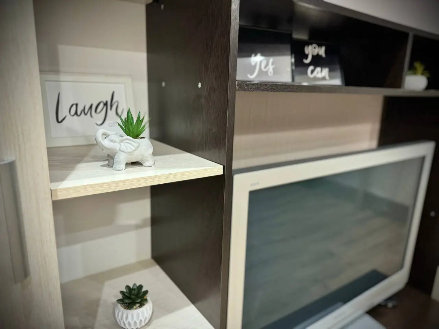 Апартаменты Трёхкомнатный люкс в Ботаническом саду