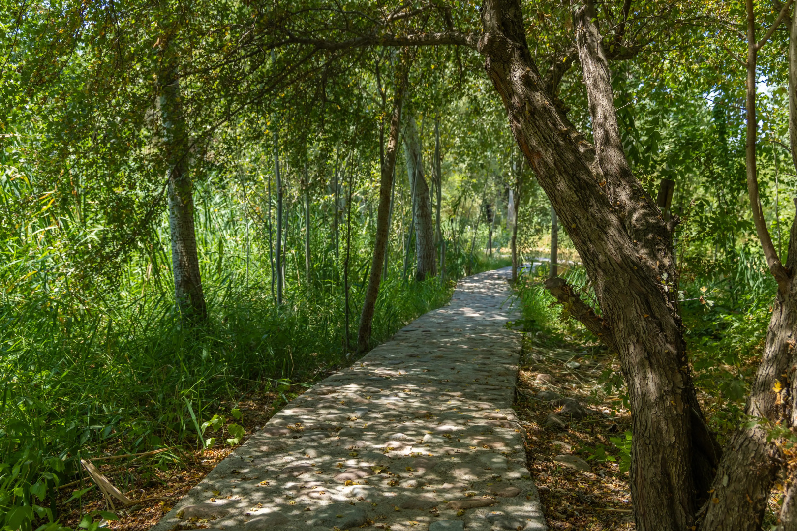 База отдыха Rano Eco Village