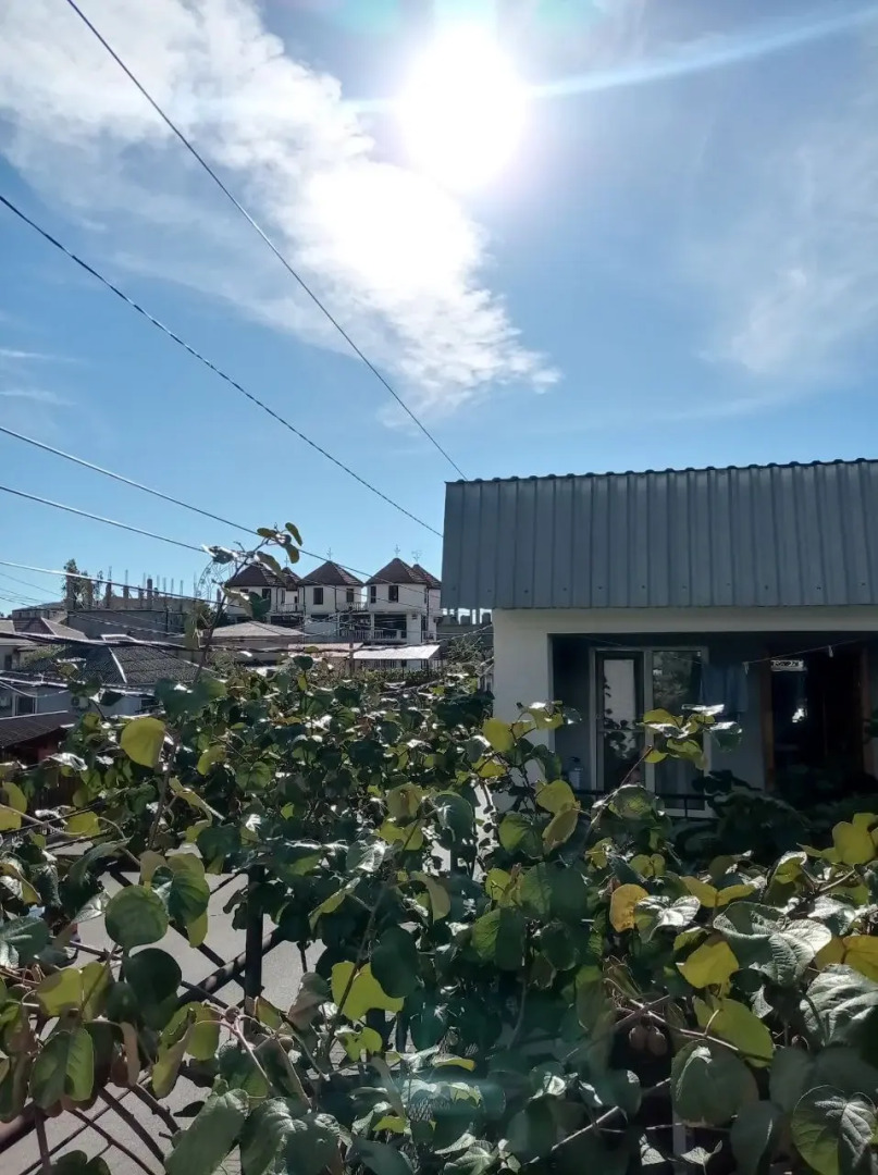 Гостевой дом Самира