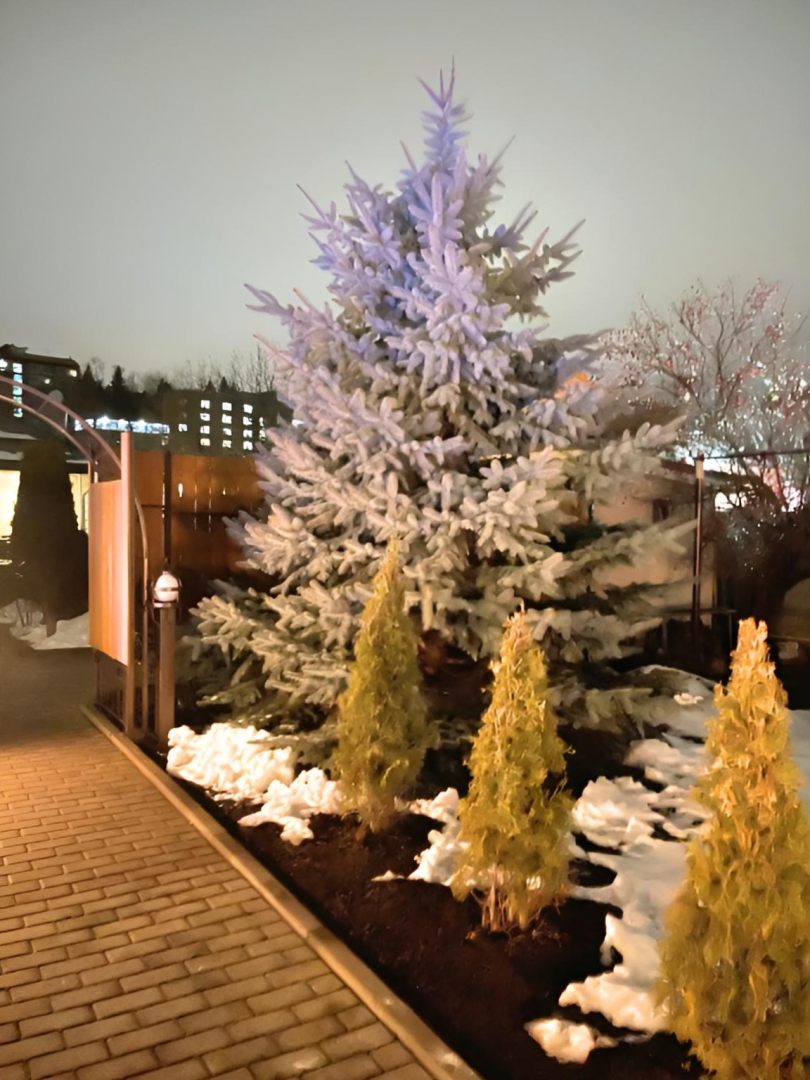 Частный дом Уютный дом