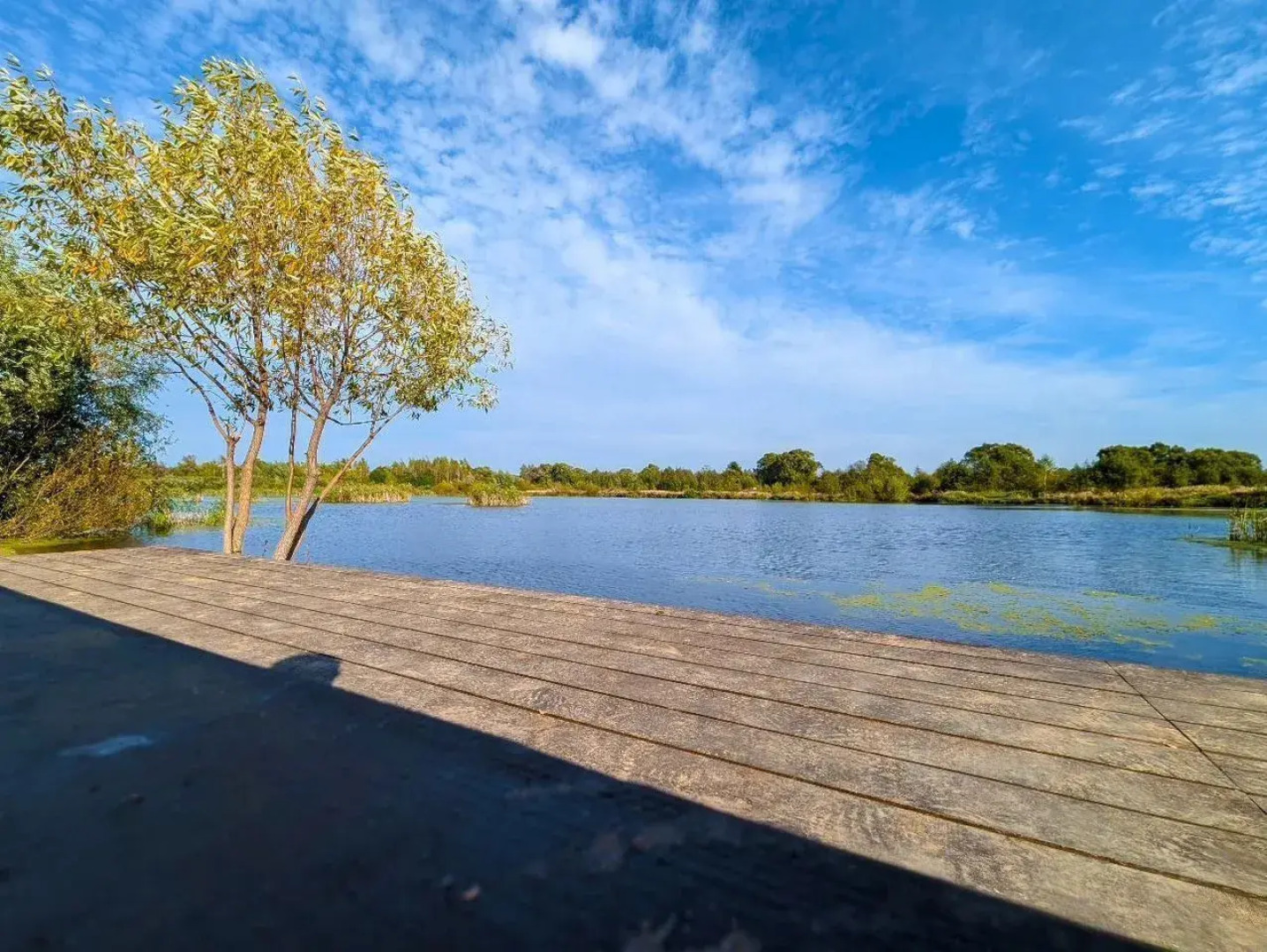 Частный дом Панорамы 40