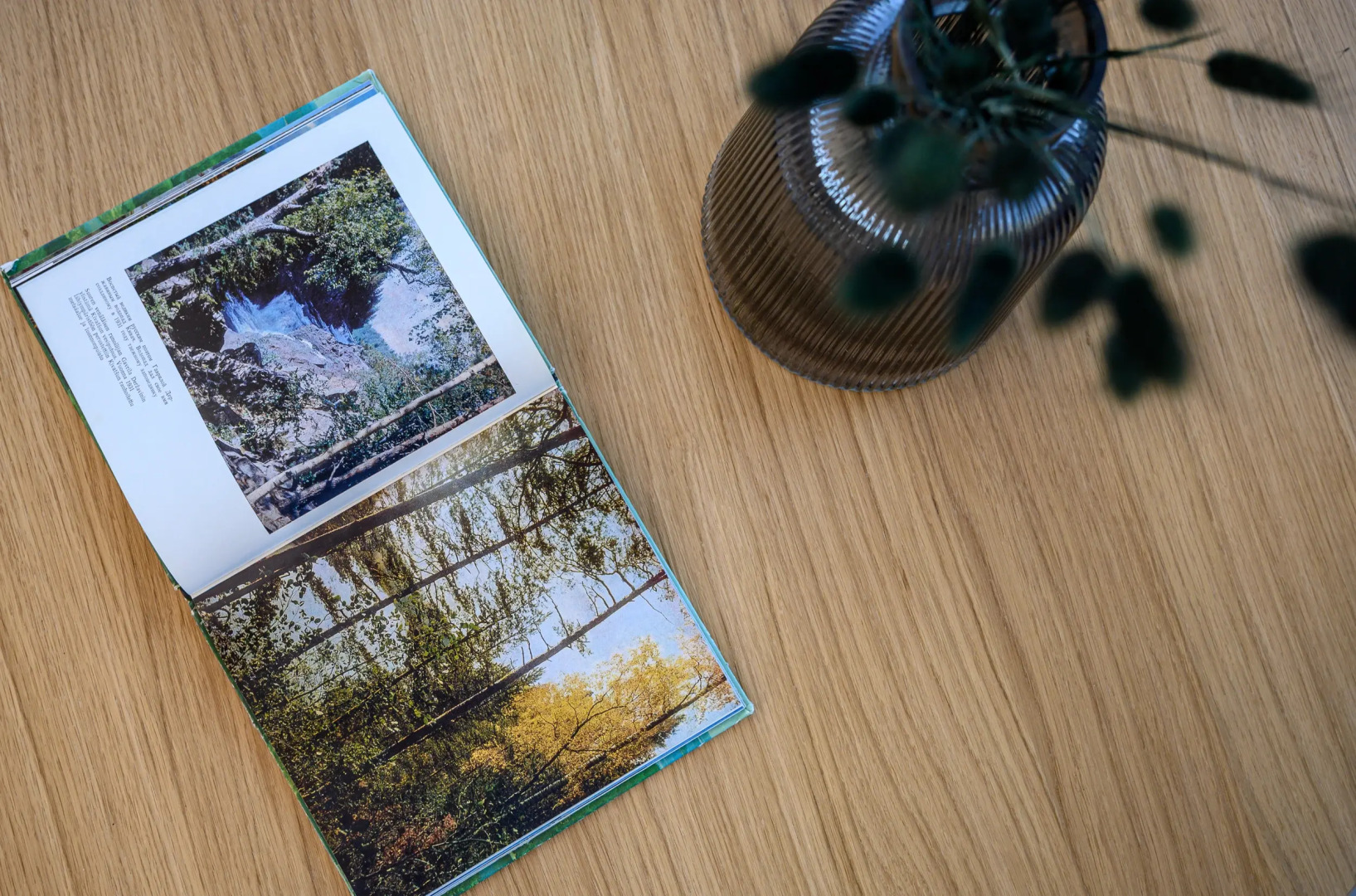 Гостевой Дом ASILAN CLUB