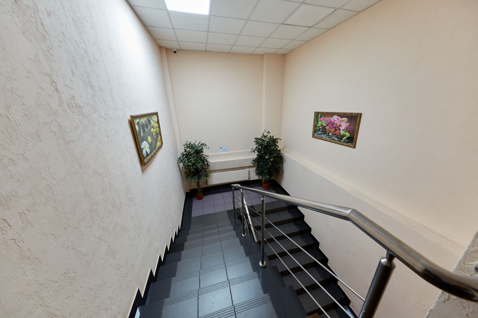 Мини-отель Автор Братиславская