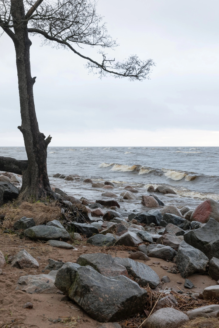 Частный дом Хюгге Эйнари
