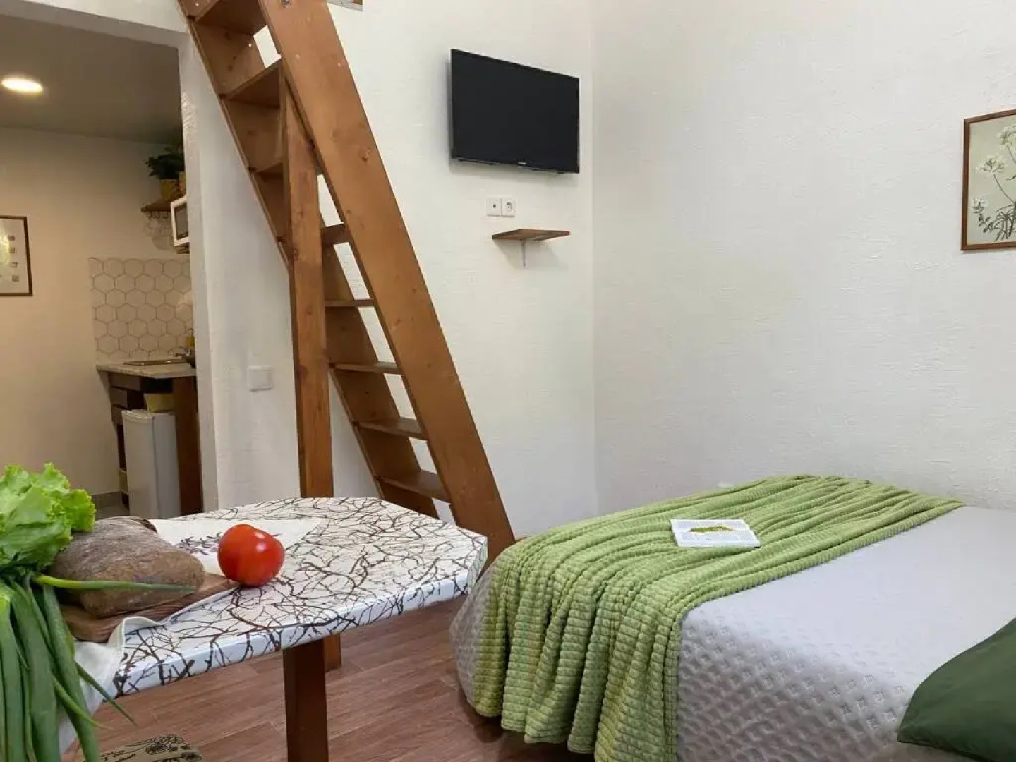 Квартира возле зоопарка 1