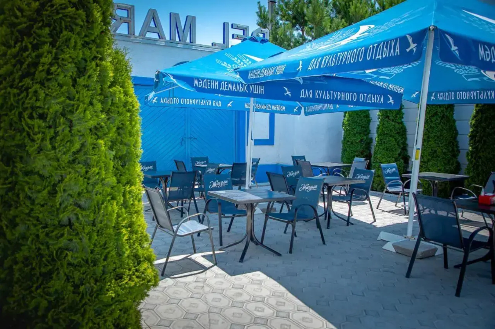 Отель Delmare