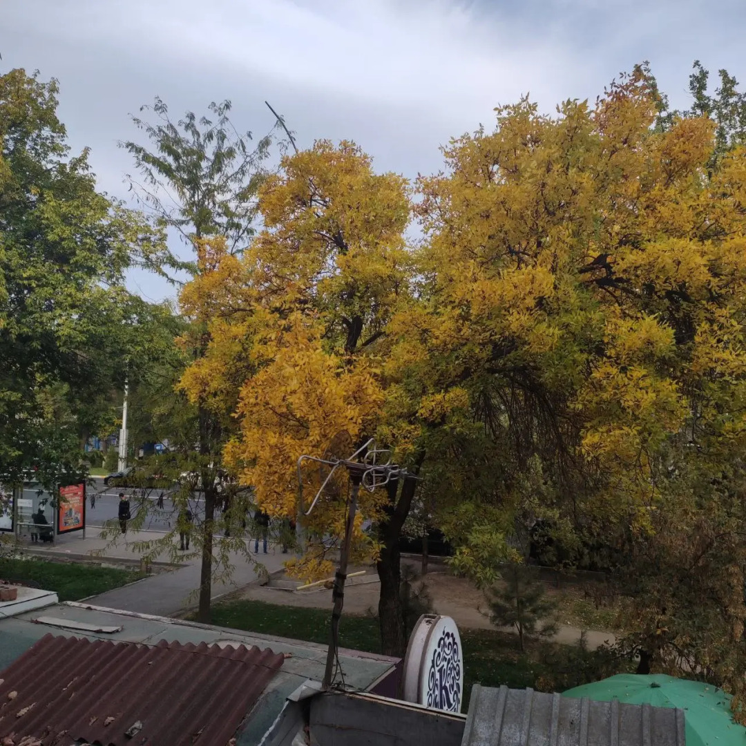 Апартаменты Уютная Квартира Для 2х Персон Ахунбаева - Мира