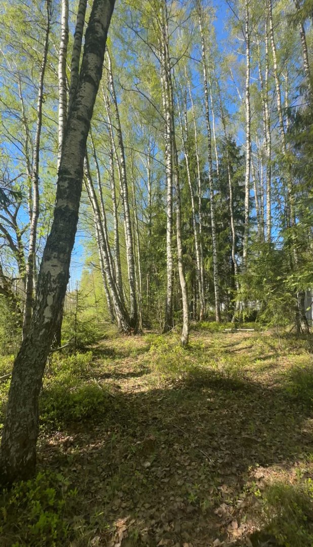 Частный дом Skandi Life