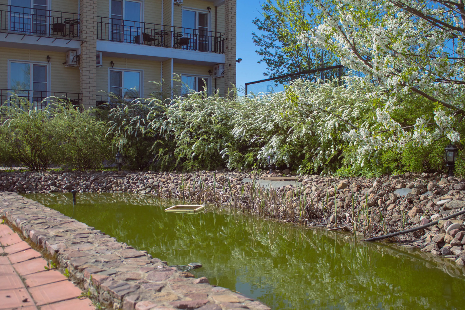 Отель Святогор