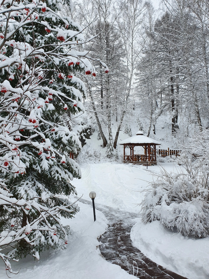 Гостевой Дом Каменный Цветок