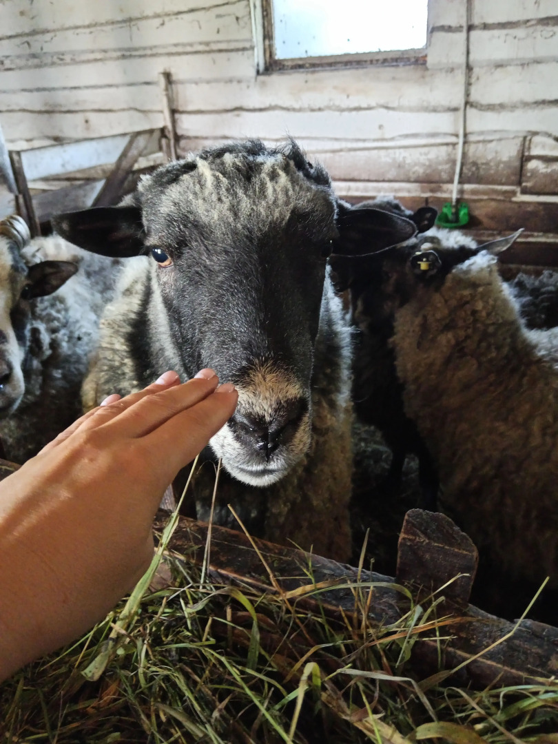 Гостевой дом в деревне Чернокуново