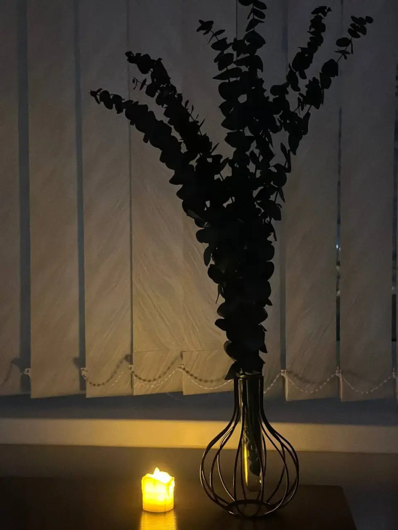 Апартаменты на Невского