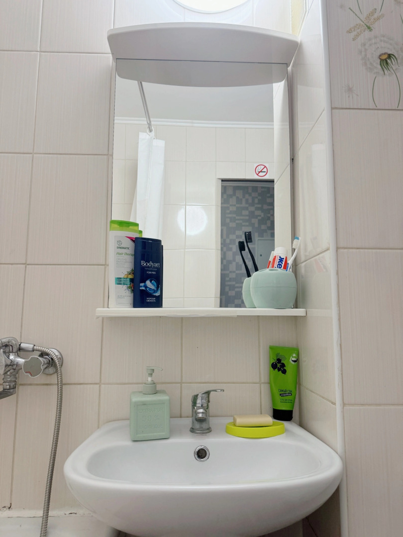 Апартаменты Центр у Каштанов Ленинский Пр-т 8