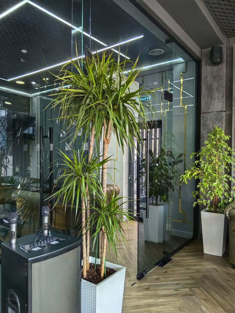 Отель Шымкент Парк Отель