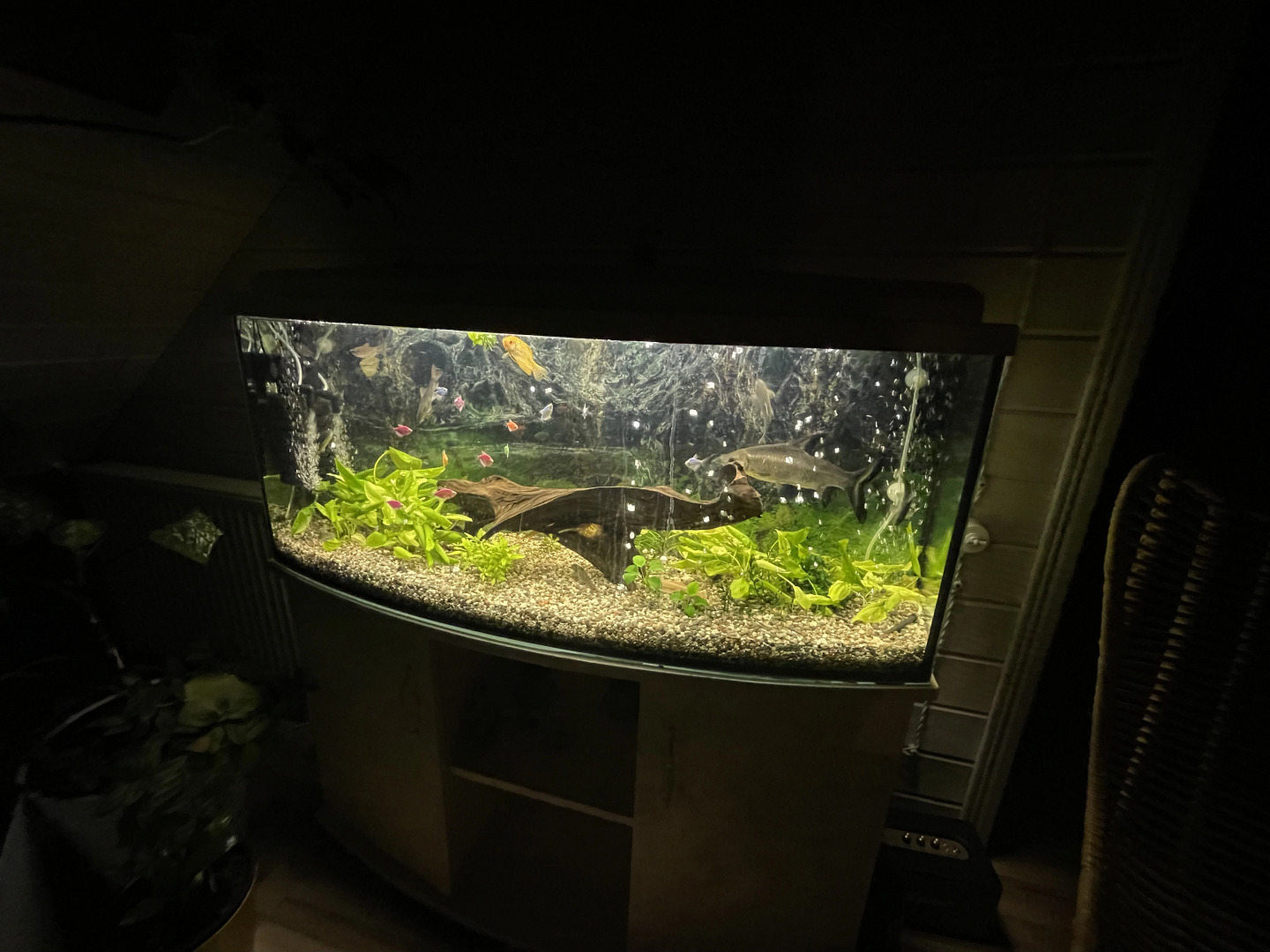 Апартаменты Скандинавия