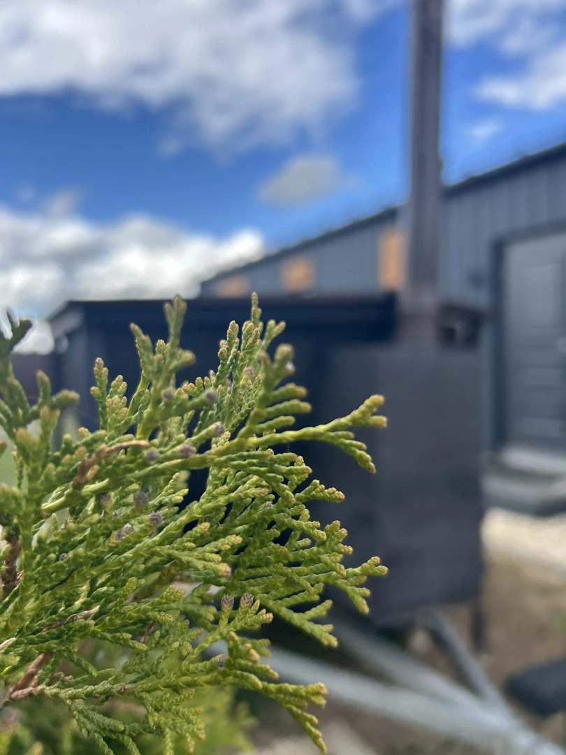 Гостевой дом Эко-Дом у Озера