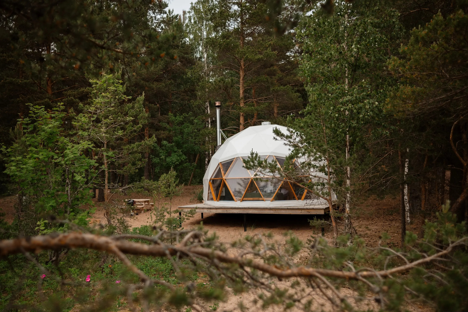 Глэмпинг Майтри кэмп на Финском заливе