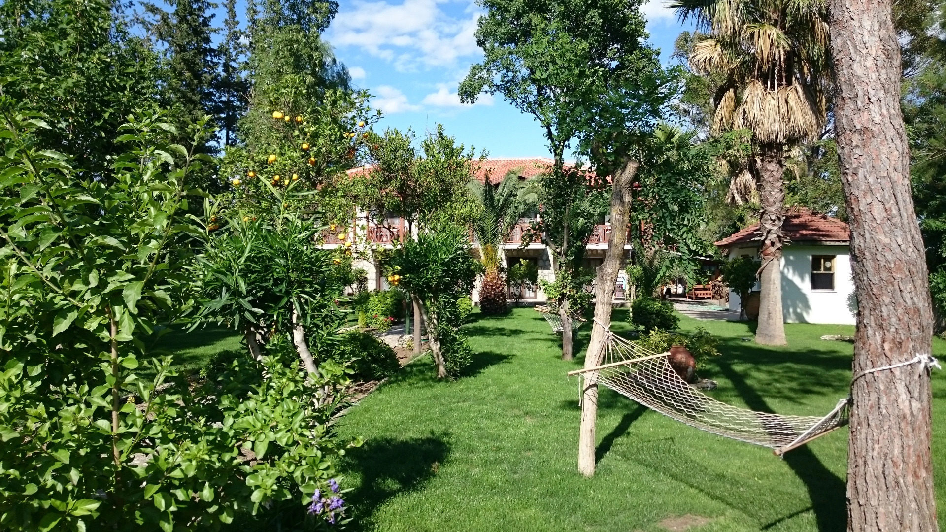 Dervi̇şhan Pension