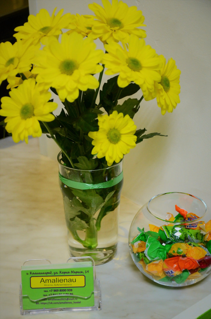 Хостел Амалиенау Хостел и Апартаменты