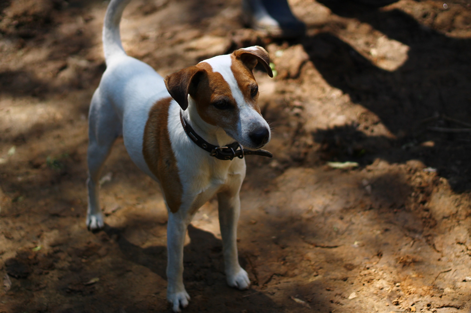 Гостевой Дом Агроусадьба NaraEcoHills
