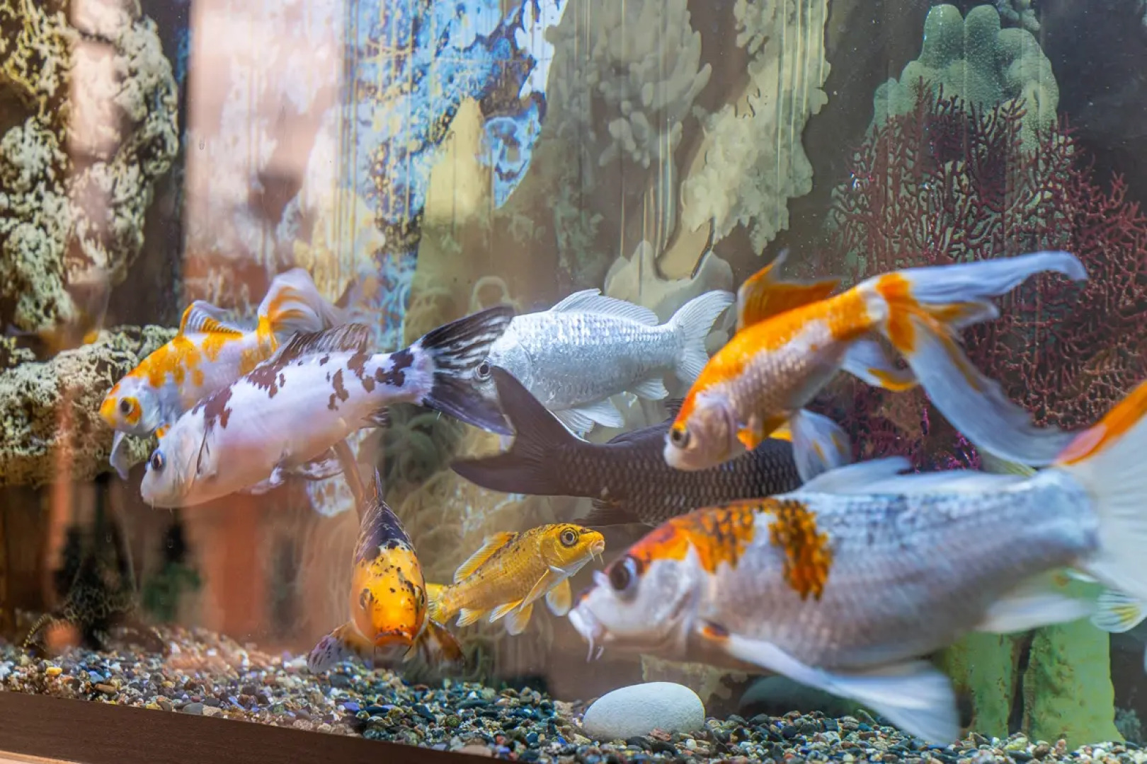 Апартаменты Большая Конюшенная 3