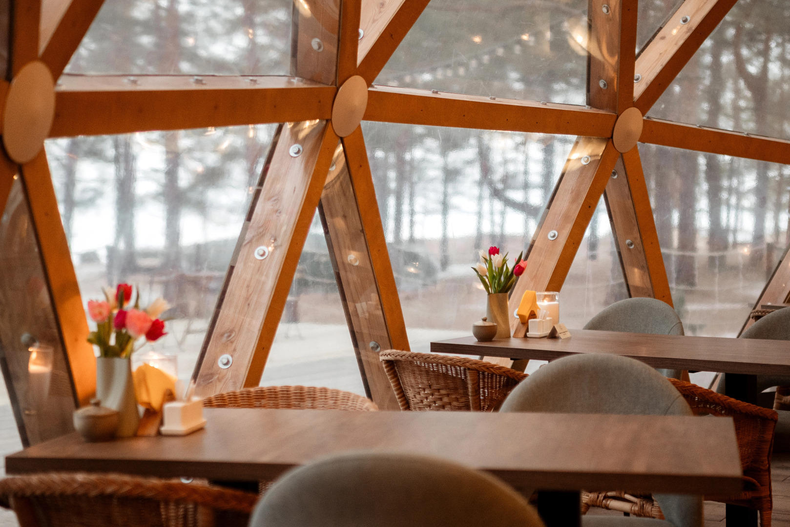 Глэмпинг Майтри кэмп на Финском заливе