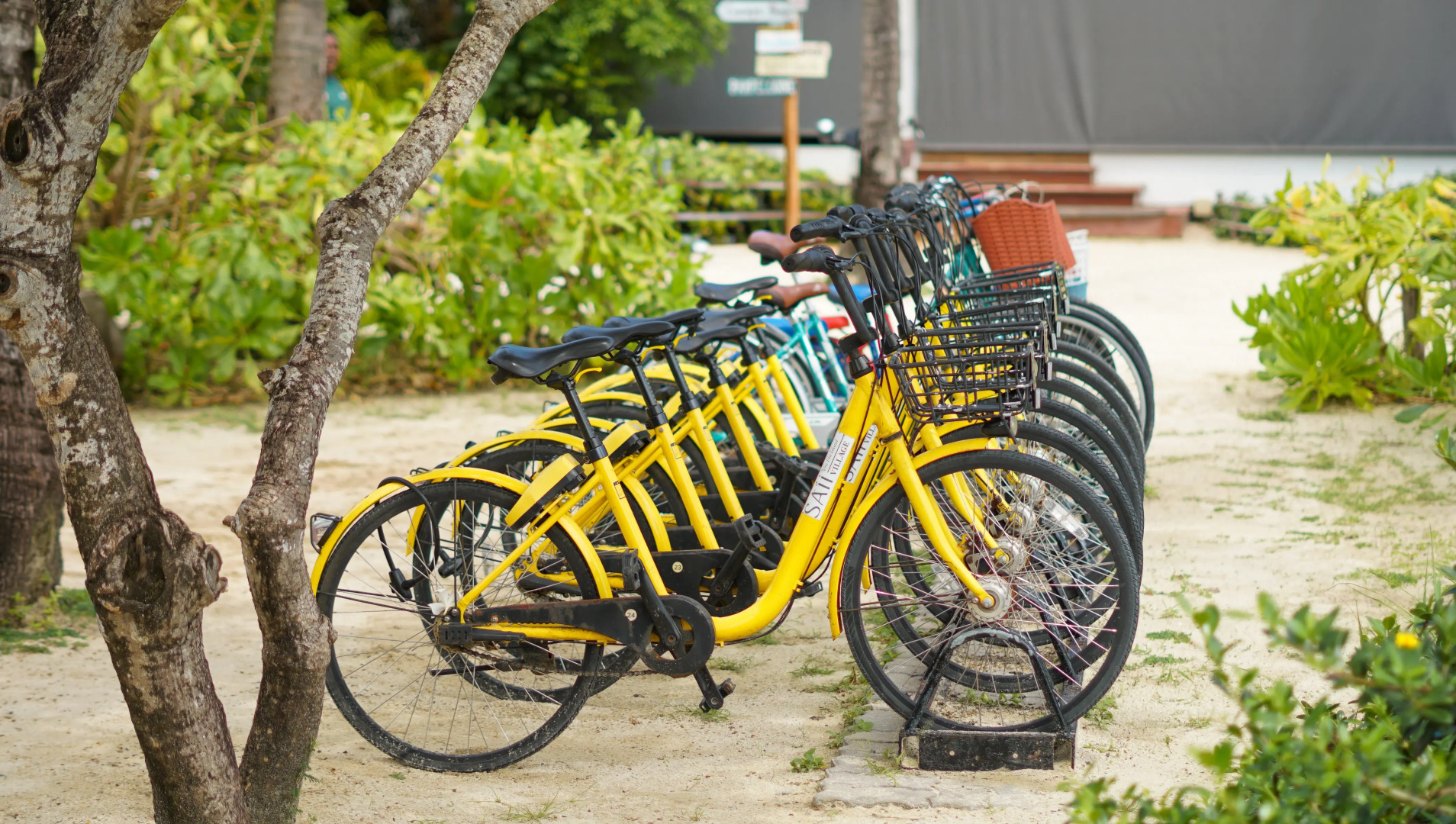 Отель Saii Phi Phi Island Village