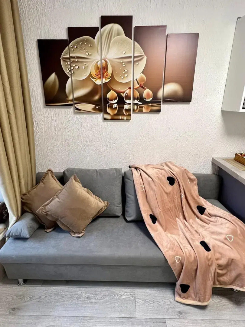 Апартаменты N3 на Петроградке