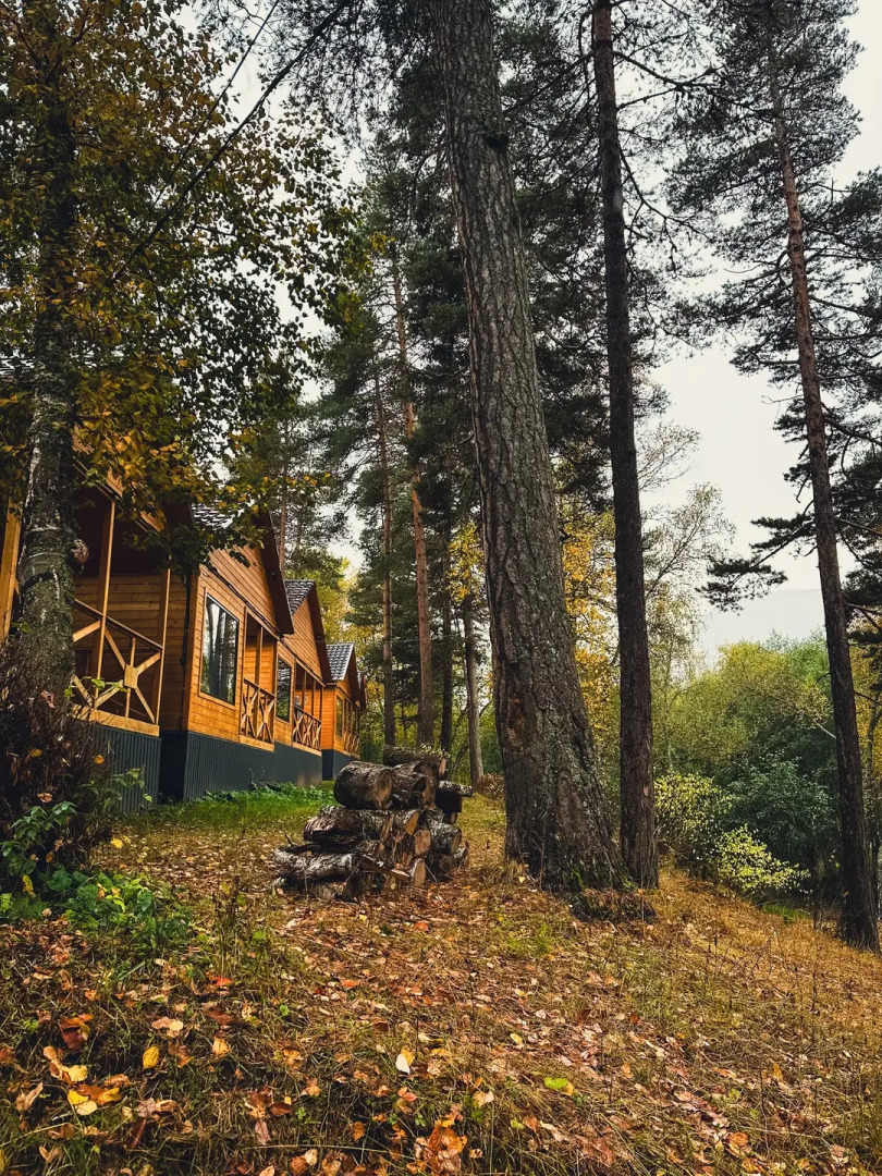 Шале Хвоя трехкомнатный люкс