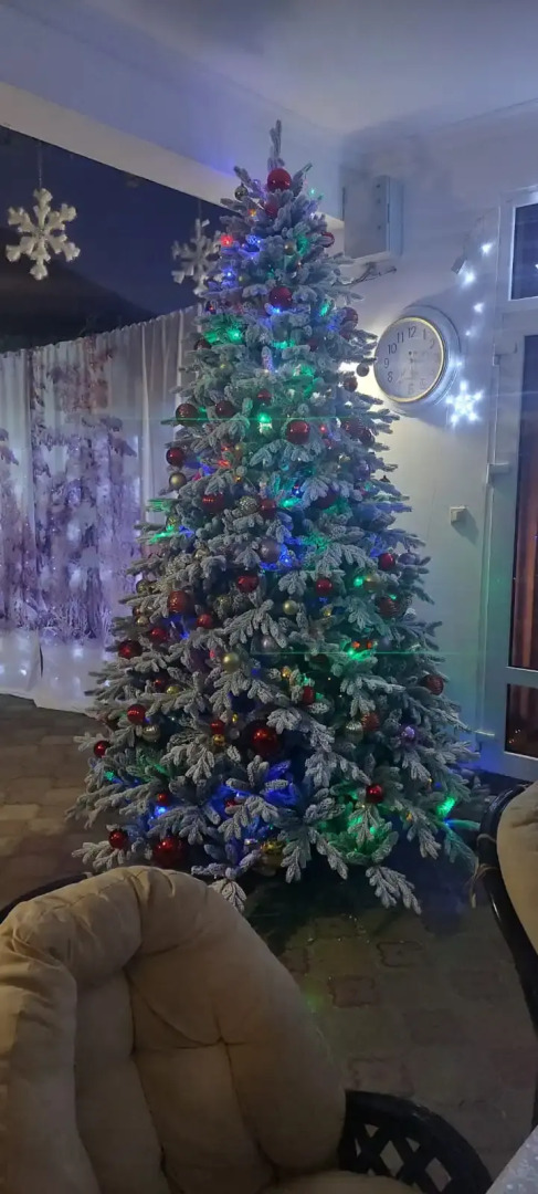 Гостевой Дом Бугенвилия