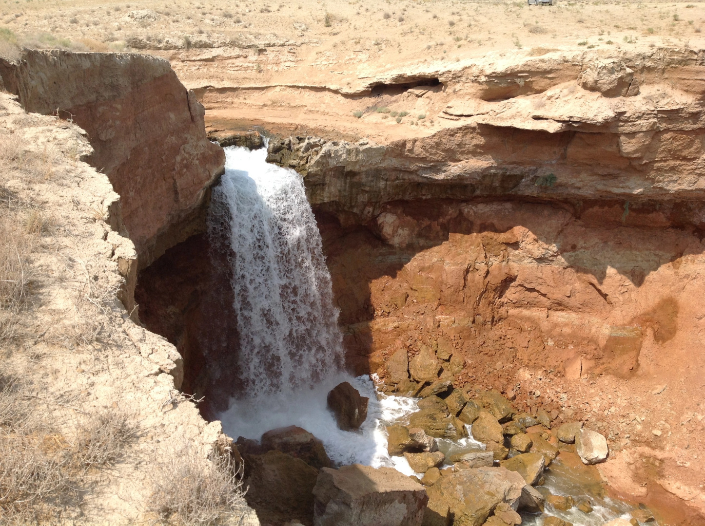 Кемпинг Almagul Yurt