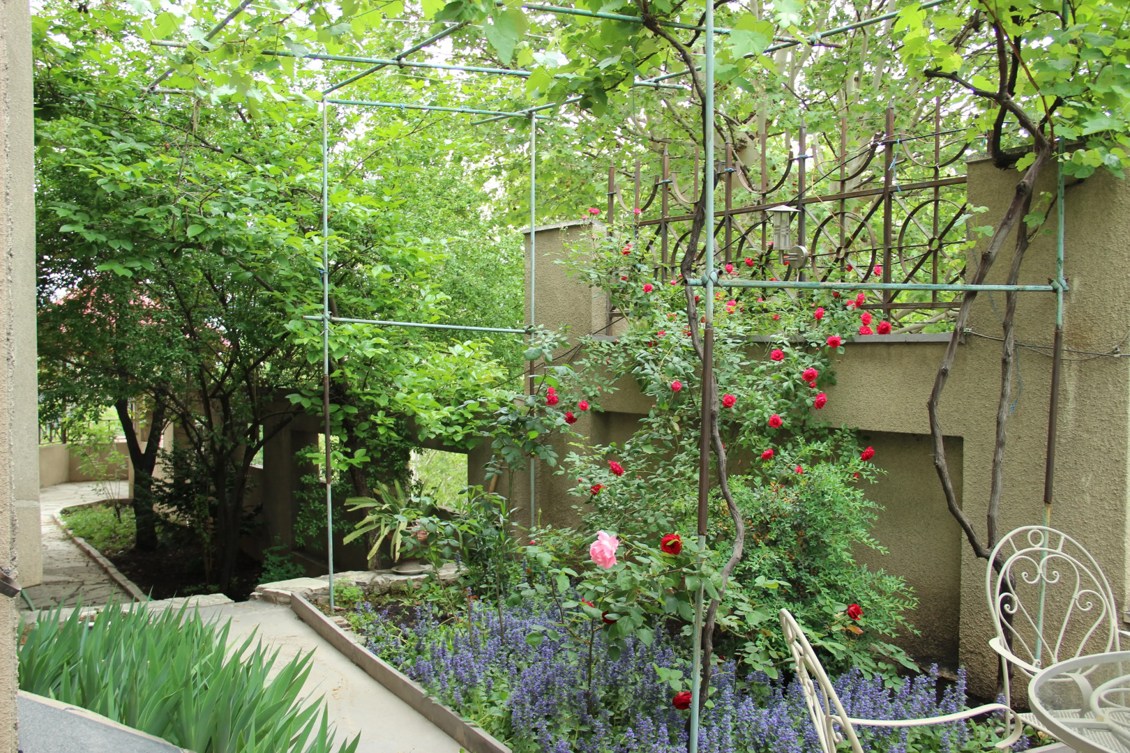 Отель Илиани