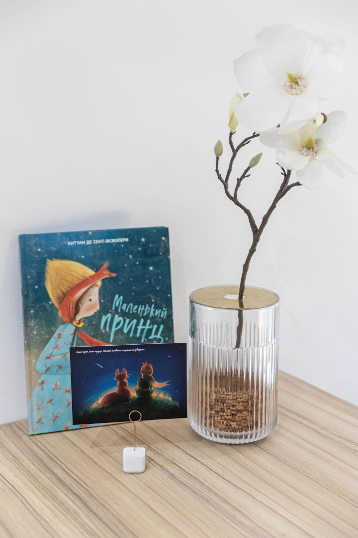 Апартаменты Little Prince лофт