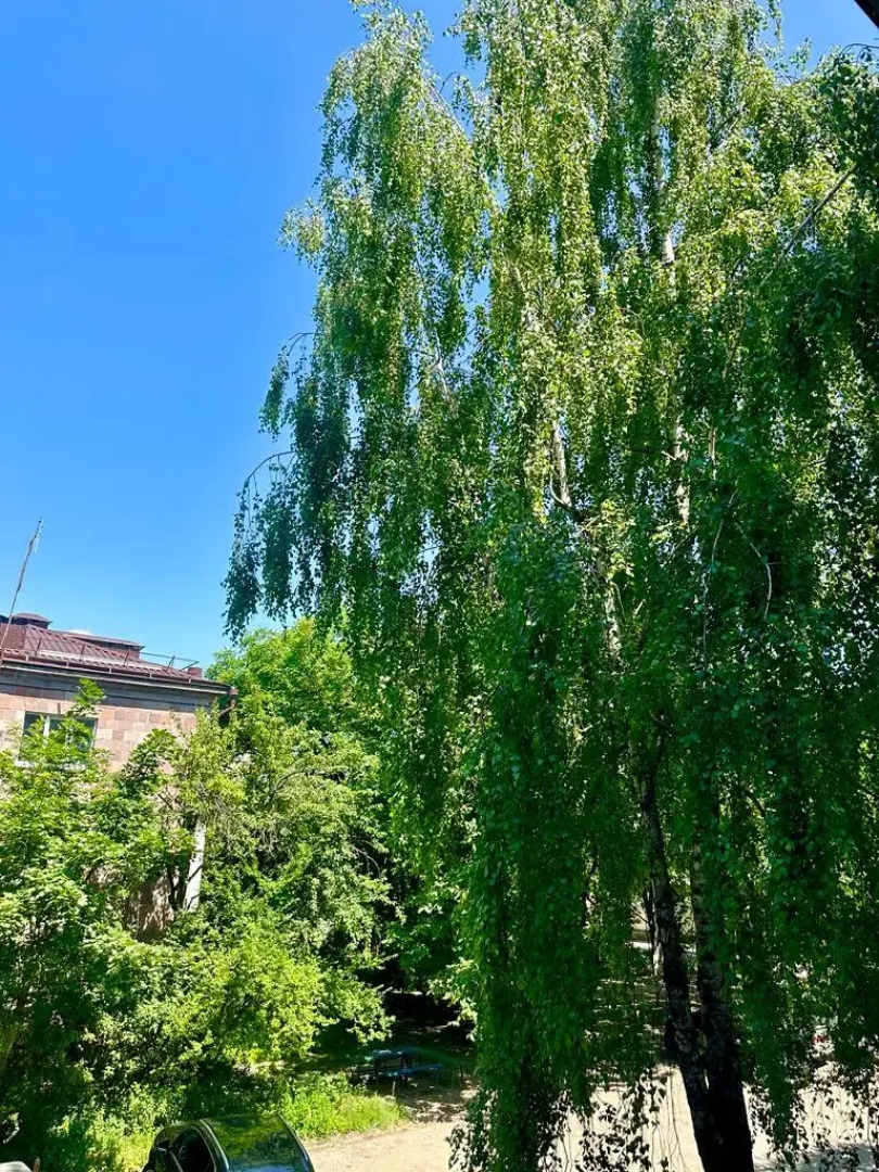 Квартира Уютная Трёшка