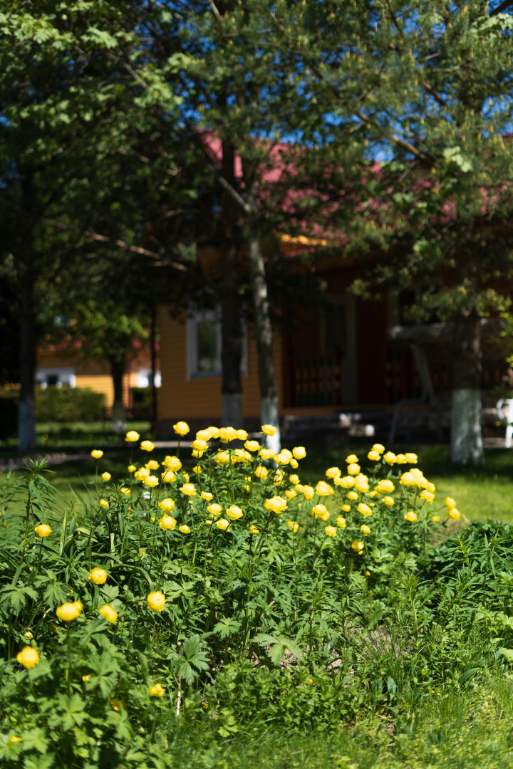 База отдыха Антлер