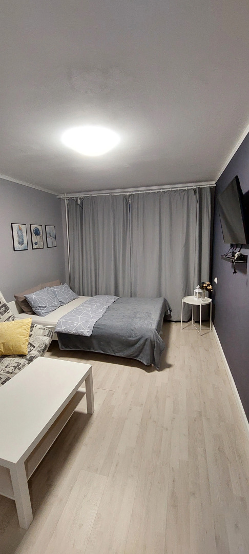 Студия вблизи соснового бора