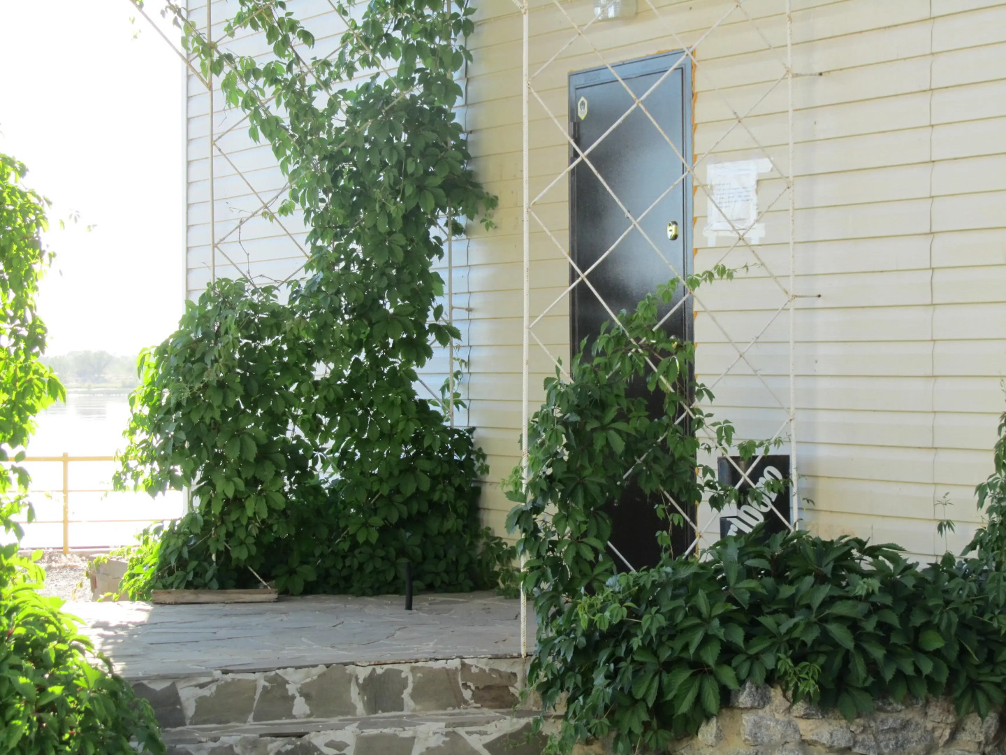 База Отдыха Найт Флайт